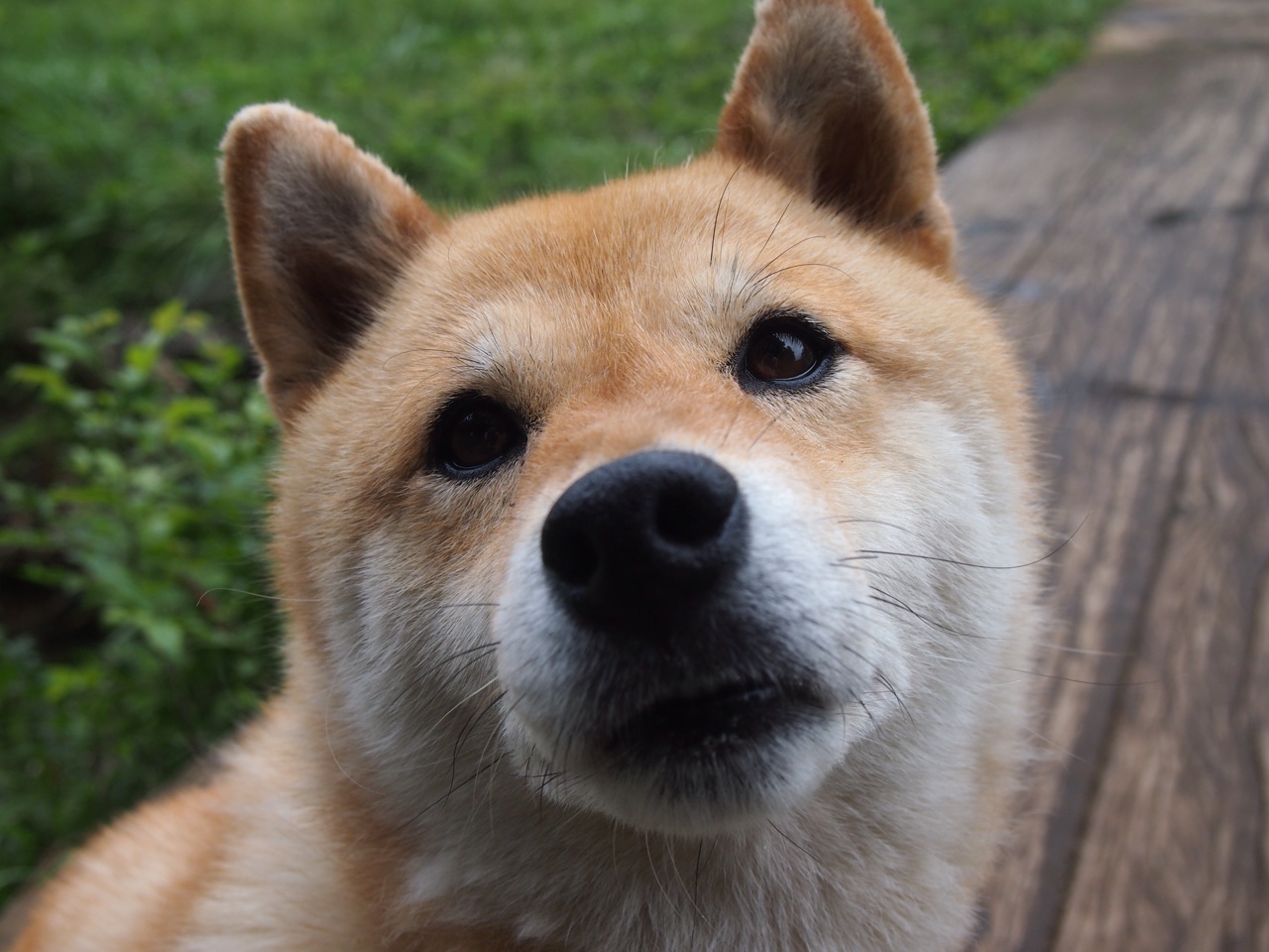 《虚拟比赛新体验：融合增强现实技术的电竞未来》，虚拟化电子竞技哪些