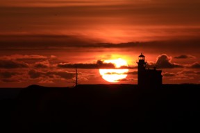 开云竞猜官网-“峡谷极速：山谷中的巅峰对抗”，峡谷速报