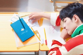 开云娱乐-_鹈鹕队硬实力展现，赛季表现令人期待_，鹈鹕 队