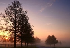 开云体育视频直播-_智能跳远：科技赋能运动表现_，智能跳绳好不好