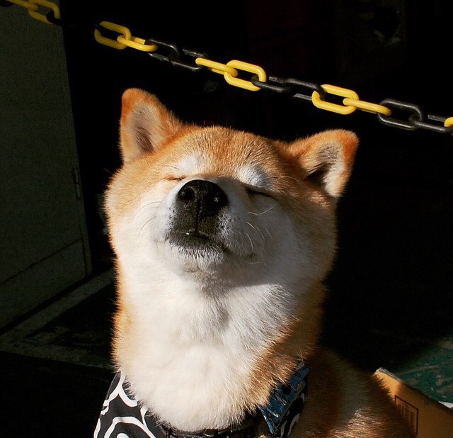 _未来运动智能设备：穿戴科技开启新纪元_，未来智能运动鞋