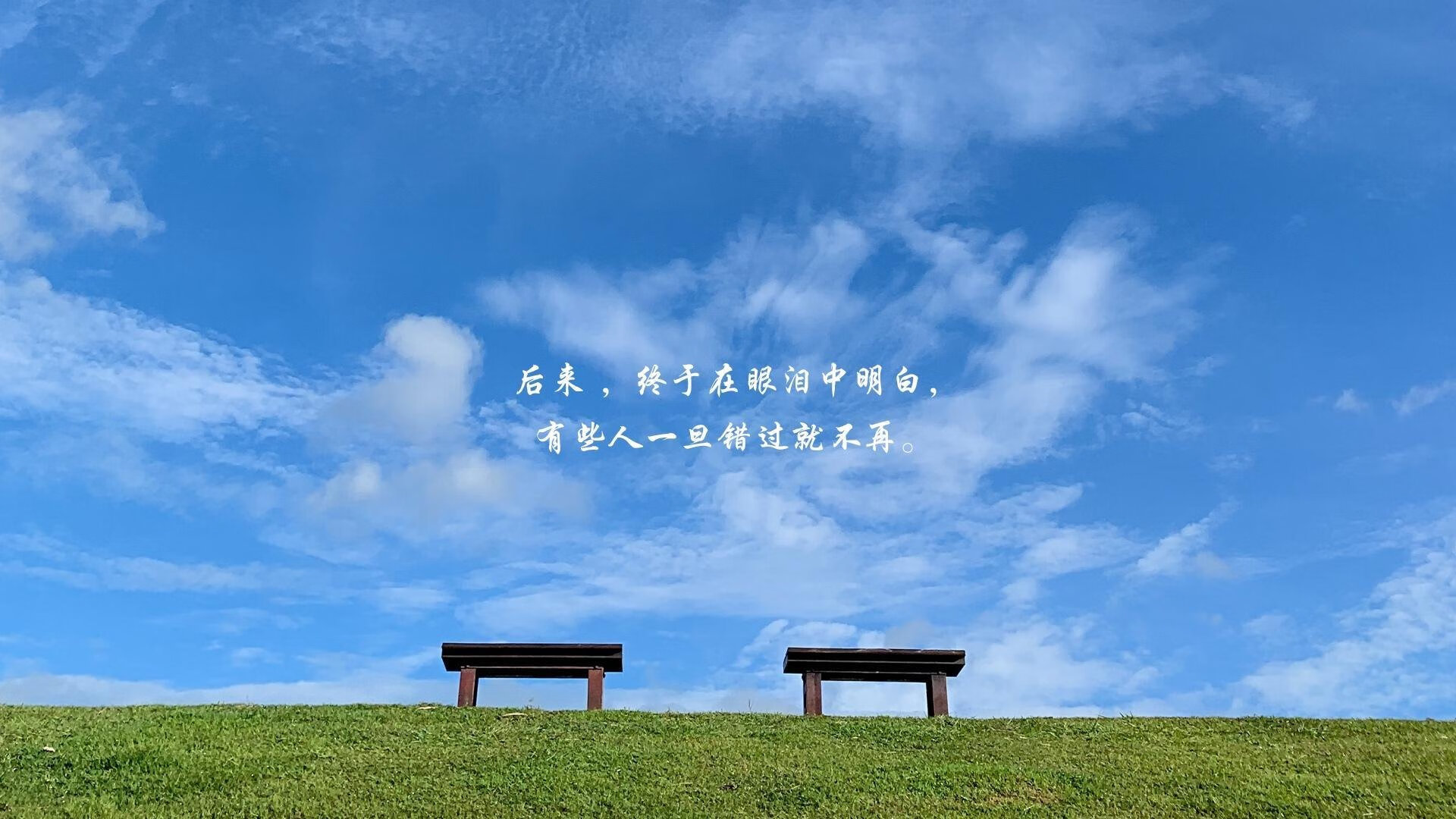 _鹈鹕队硬实力展现，赛季表现令人期待_，鹈鹕 队