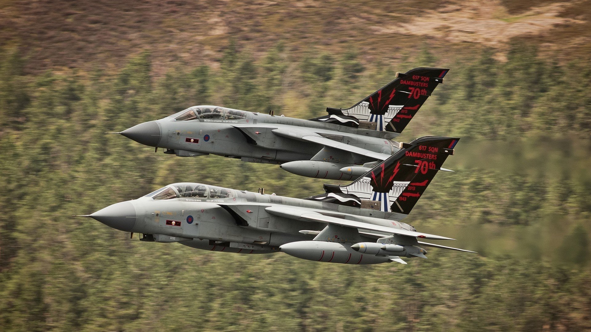 业余选手到职业选手的成长路径调查，职业选手和业余选手的区别感悟