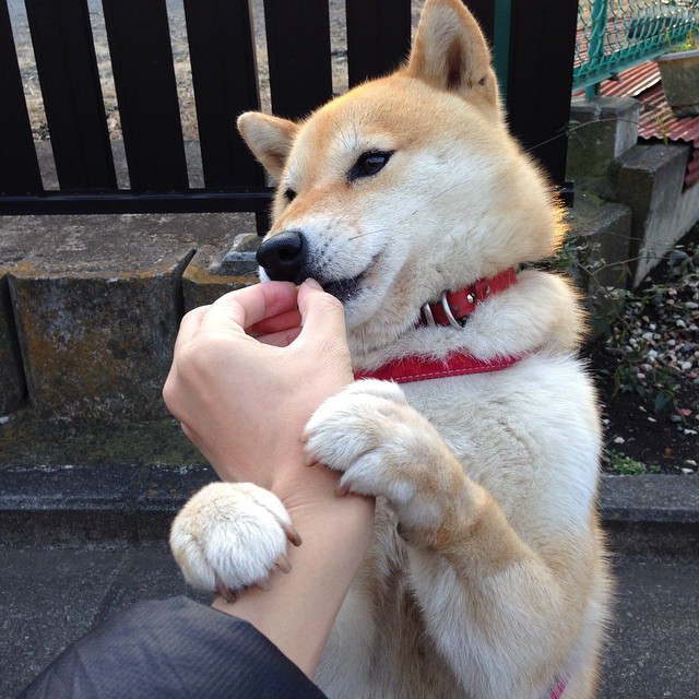 中国女篮在国际热身赛中表现优异,竞争力增强,中国女篮热身赛赛程