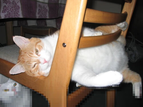 冬奥神队?墨西哥靠足球冰场逆天翻盘,墨西哥国奥队